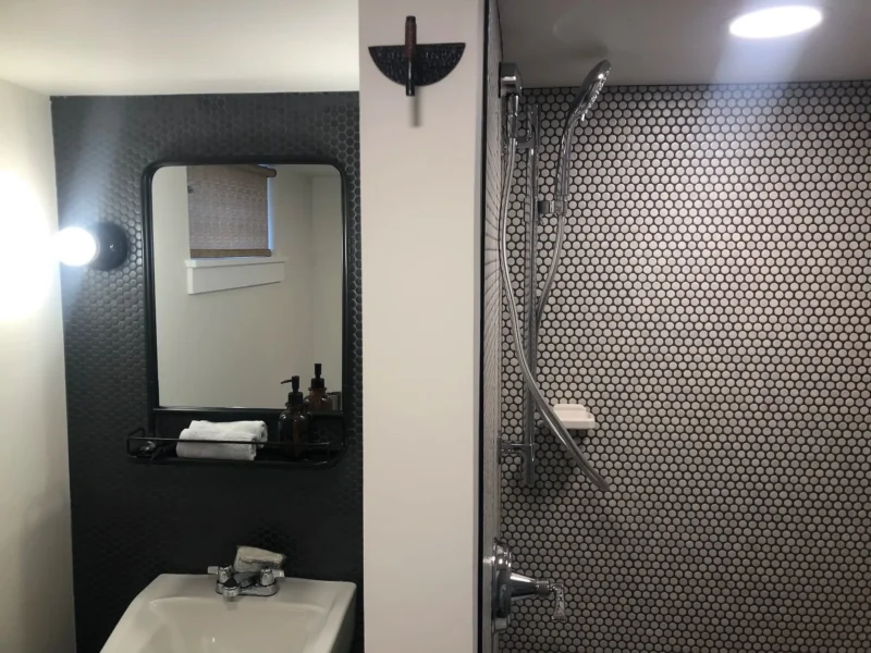 Compact bathroom with black penny tile walls and modern shower fixtures