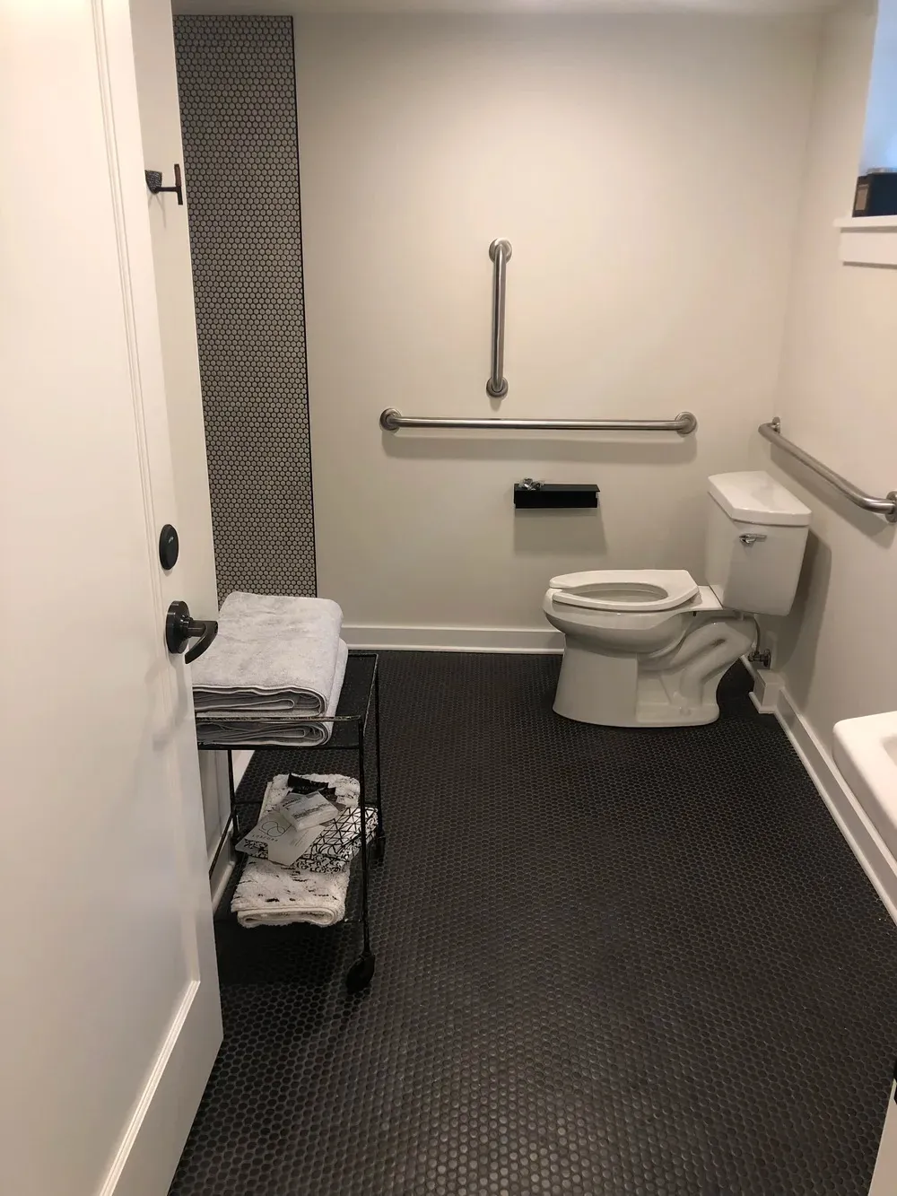 Accessible bathroom featuring black penny tile flooring, grab bars, and modern minimalist fixtures
